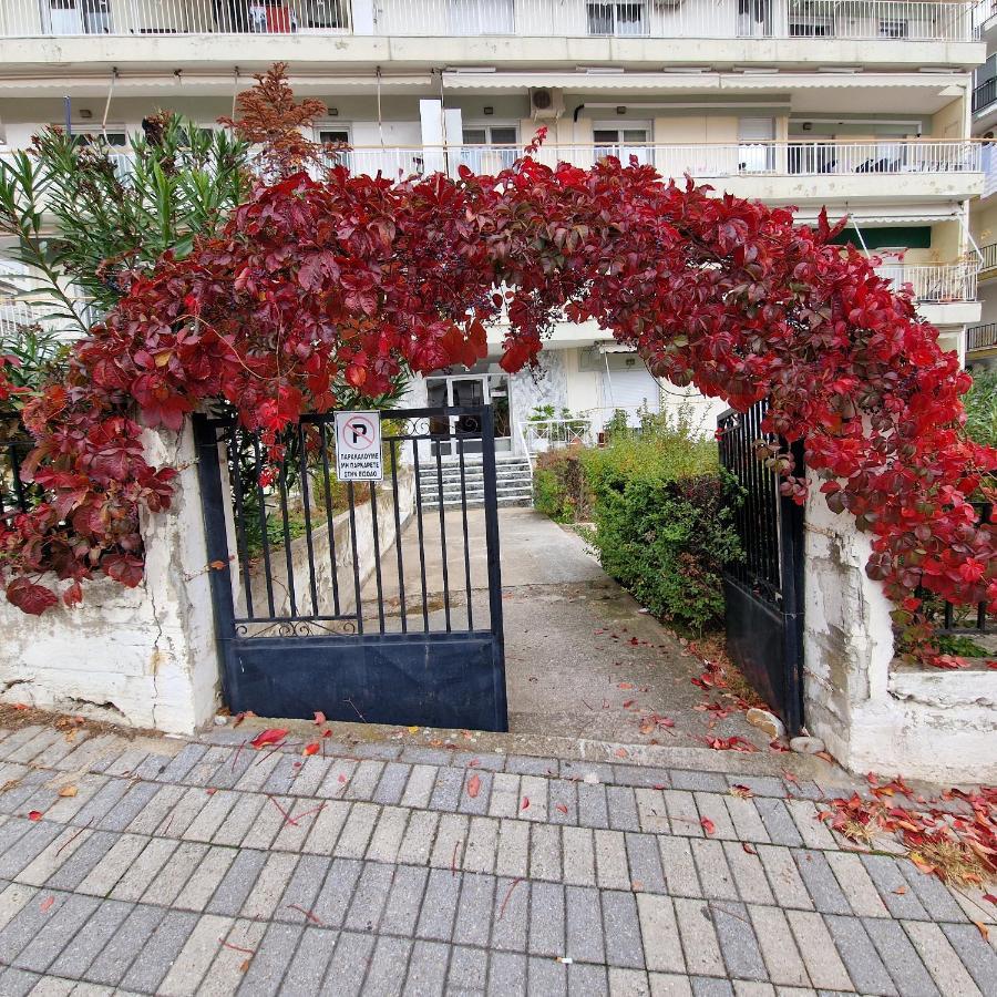 Best Minimal Studio In Xanthi - Myhomee Екстериор снимка